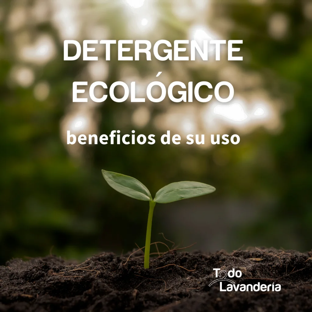 detergente ecologico